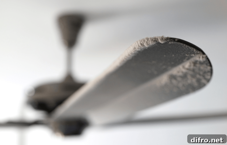 A close photo of dust on a ceiling fan blade.