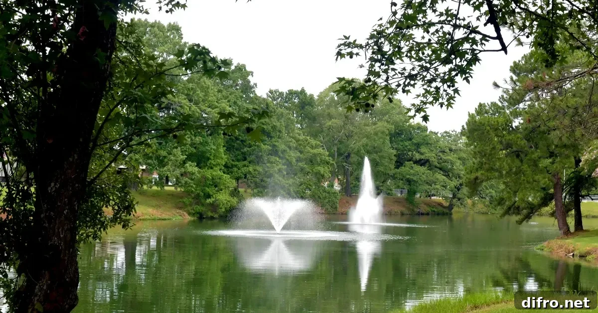 Black History Month Reveals HBCU Campuses' Hidden Design Legacy 9 Southern University and A&M College Lake Kernan with fountains on the Baton Rouge, Louisiana campus