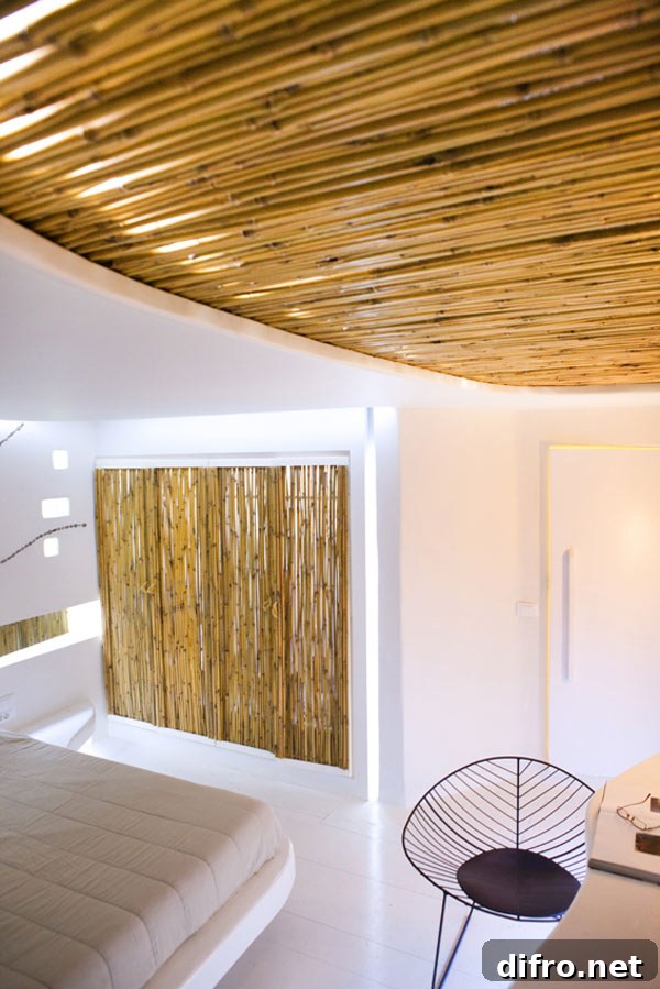 Entrance and circulation spaces with organic wall shapes