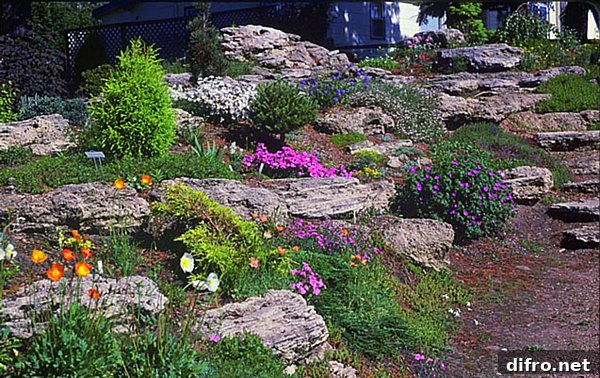 natural terraced rock garden
