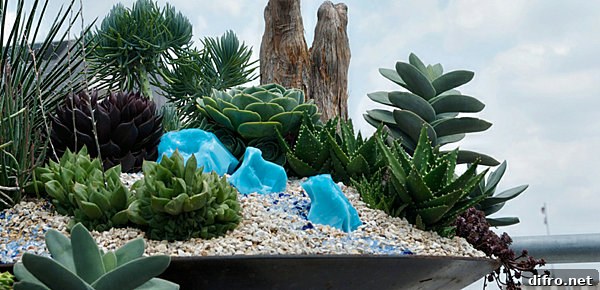 mini rock garden