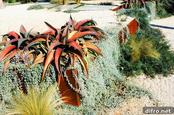 terraced rock garden