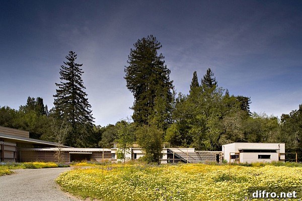 Creekside Residence exterior and landscape