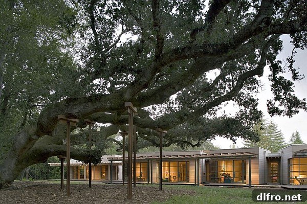 Floor-to-ceiling windows in the Creekside Residence