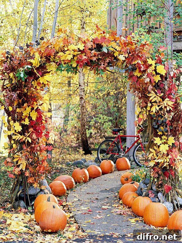A garden path lined with pumpkins