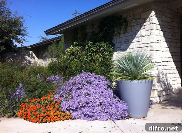 Purple and orange flowers lining a garden pathway