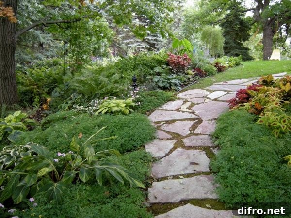 A garden pathway with dashes of color