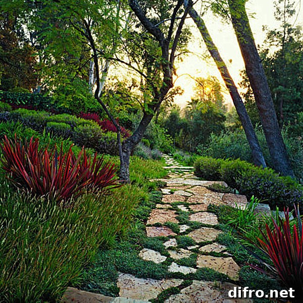 Touches of red on a garden path