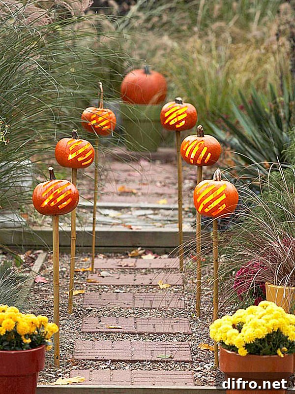 Pumpkins lining a garden path