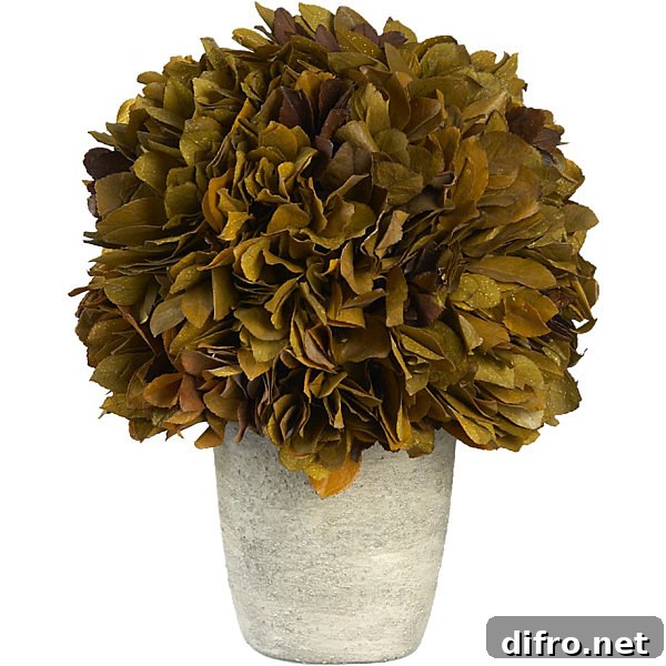 A preserved autumn topiary