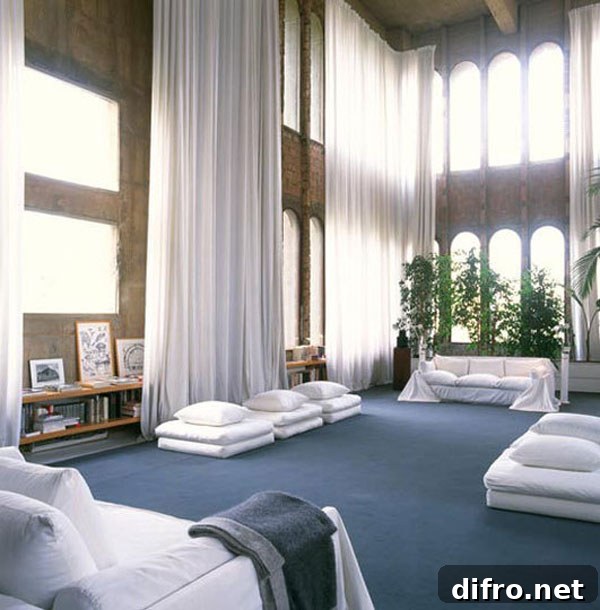 Interior view showing the relationship between scaled elements