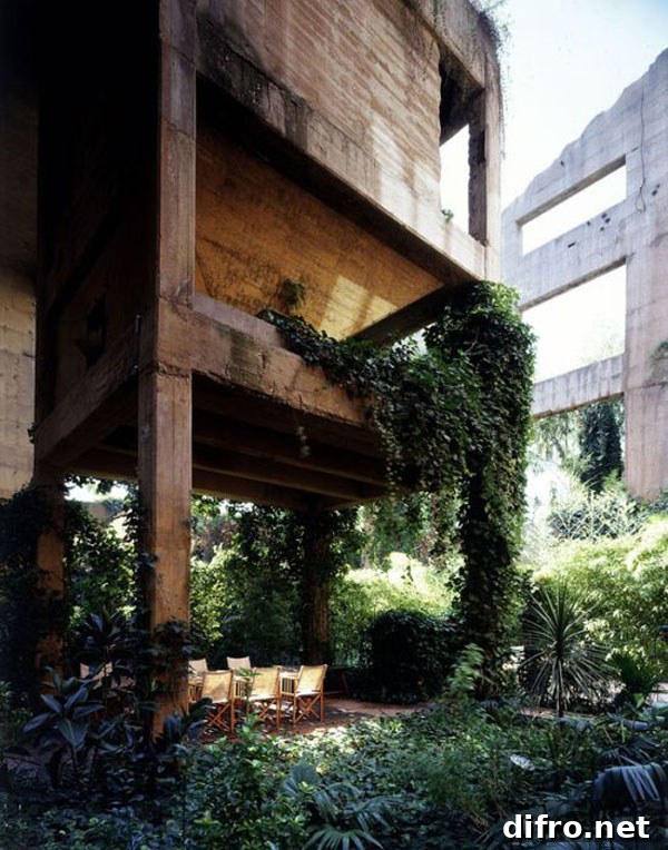 Exterior view of former factory with ivy-covered walls