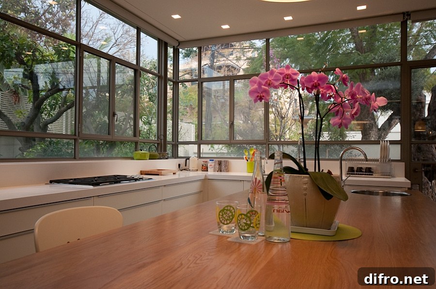 Glass walls of the kitchen