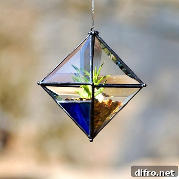 Beveled glass air plant holder