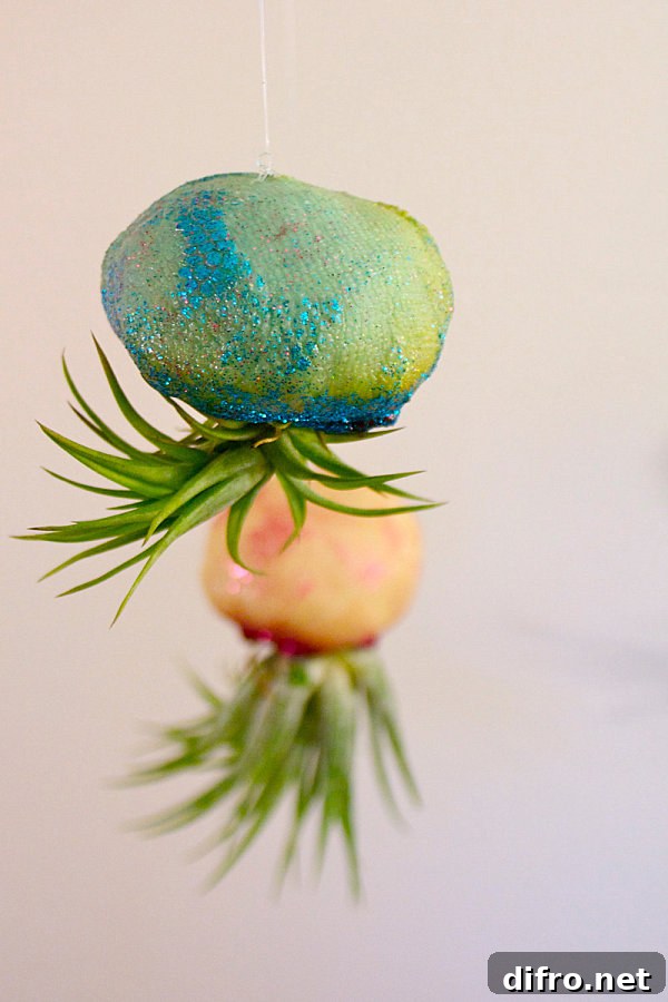 Jellyfish air plant container