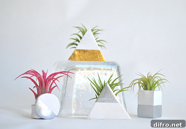 Geometric metallic air plant holders