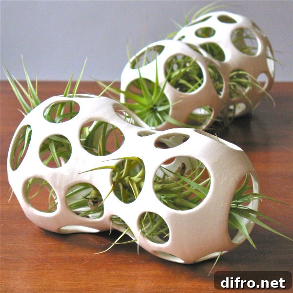 Ceramic air plant pods