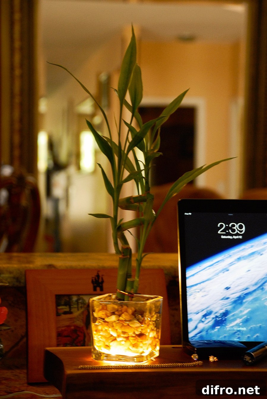 A hint of natural green for your bedside table